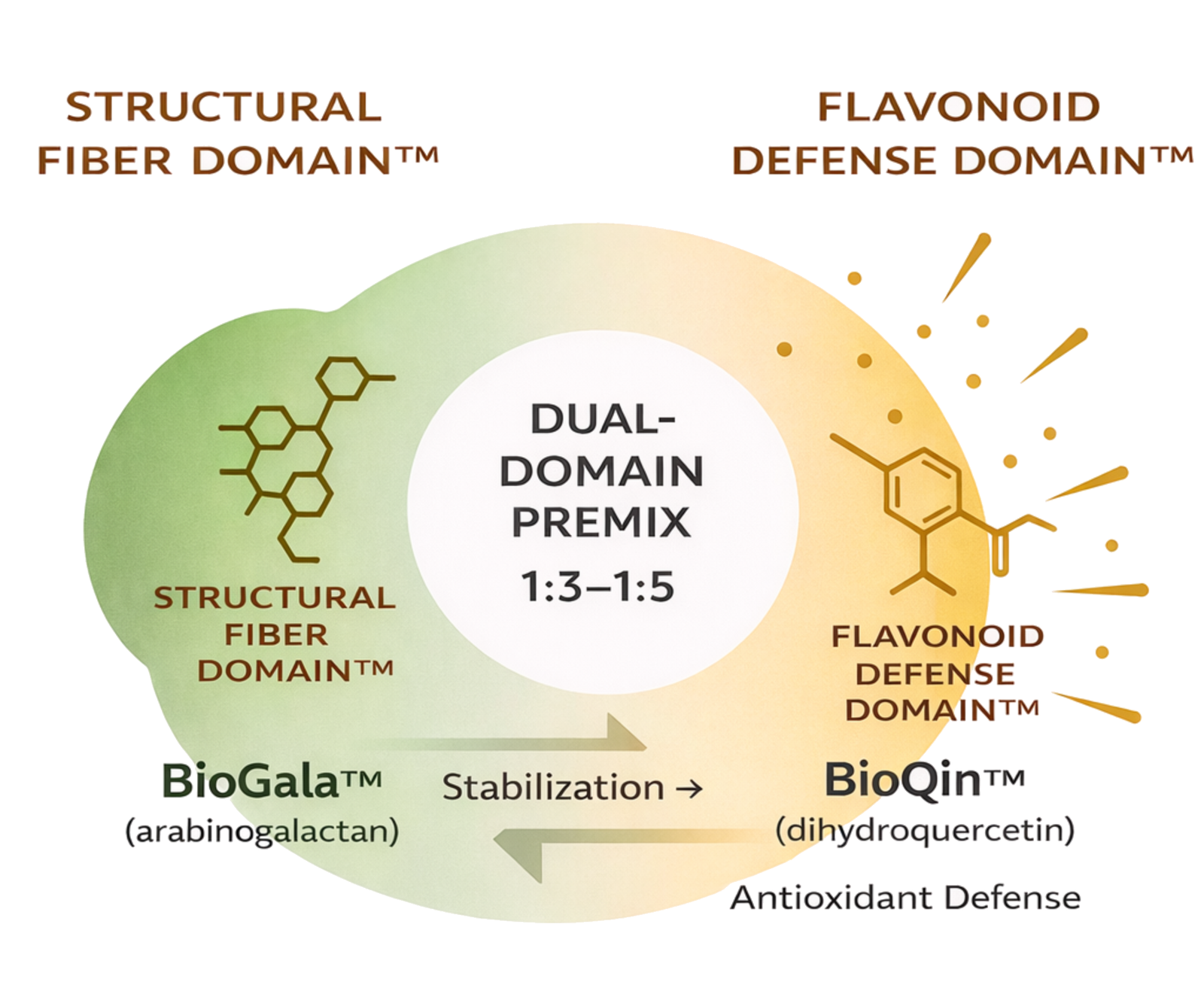 Dual-domain Synergy Premix: Structural Fiber Domain and Flavonoid Defense Domain; BioGala arabinogalactan + BioQin dihydroquercetin; DHQ:AG 1:3–1:5.